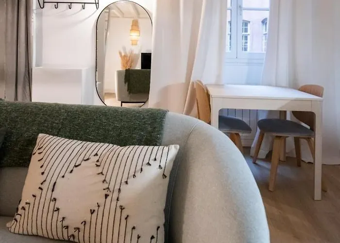 Le St Jean - 26m2 Vieux *